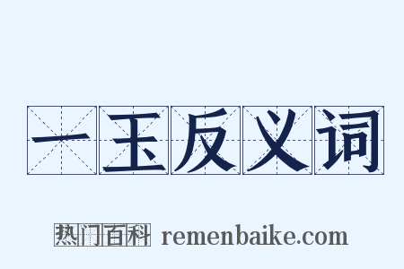 一玉反义词是什么意思的图片